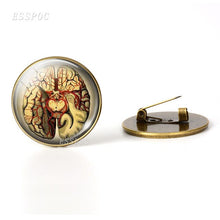 Load image into Gallery viewer, Anatomical Heart  Brooch