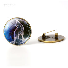Load image into Gallery viewer, 12 Zodiac Signs Brooch